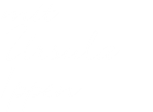 Lindau erleben Stadtführung